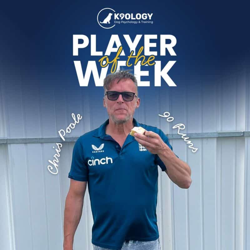 CP POTW TN